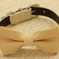 Champagne dog bow tie, Bow attached to dog collar, Pet wedding accessory , Wedding dog collar