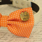 Orange Dog Bow tie attached to dog collar, Pet wedding accessory , Wedding dog collar