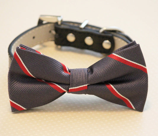 Dark Gray dog bow tie with high quality black leather collar, , Chic Dog Bow tie, Wedding Dog Collar , Wedding dog collar