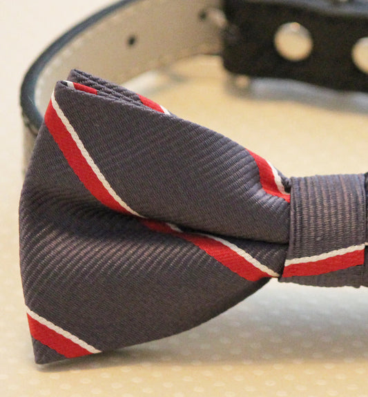 Dark Gray dog bow tie with high quality black leather collar, , Chic Dog Bow tie, Wedding Dog Collar , Wedding dog collar