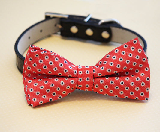 Orange Dog bow tie, Pet wedding accessory, Dog Lovers , Wedding dog collar