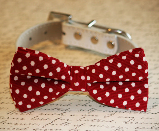 Red Dog Bow tie collar, Red dog Bow tie, Cute, Dog Lovers, Pet Accessory , Wedding dog collar