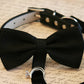 Black Dog Bow Tie, Dog ring bearer, Pet Wedding accessory , Wedding dog collar