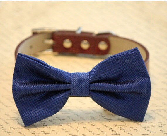 Royal Blue dog bow tie high quality leather and fabric Blue Wedding pet collar Wedding dog collar