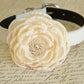 Ivory Flower dog collar, Pearl beaded flower, Ivory adjustable leather collar, Wedding proposal dog collar, handmade flower girl dog collar