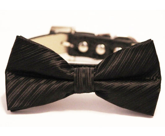 Black Bow Tie attached to leather dog collar- Pet wedding accessory , Wedding dog collar