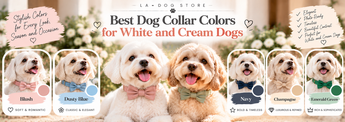 White and cream dogs wearing Blush, Dusty Blue, Navy, Champagne, and Emerald Green Vegan Leather Bow Tie collars, showing the best collar colors for light-colored dogs.