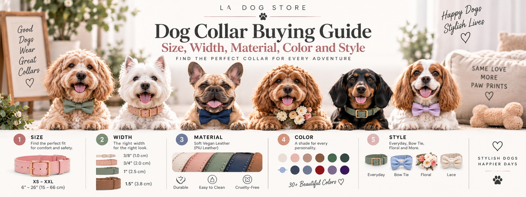 Dog collar buying guide showing different collar sizes, widths, colors, materials, and styles for choosing the right collar.
