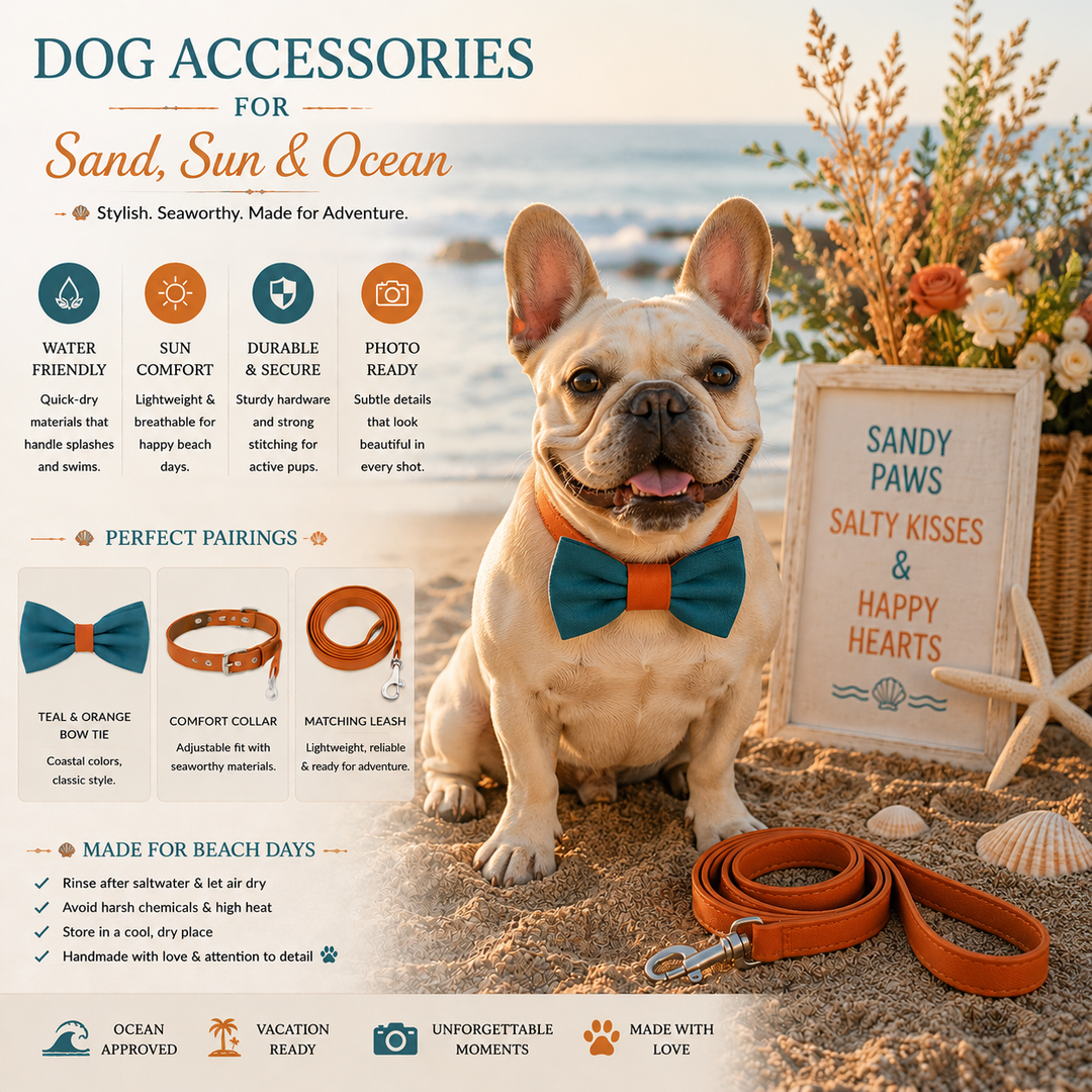 Best Dog Accessories for Sand, Sun & Ocean
