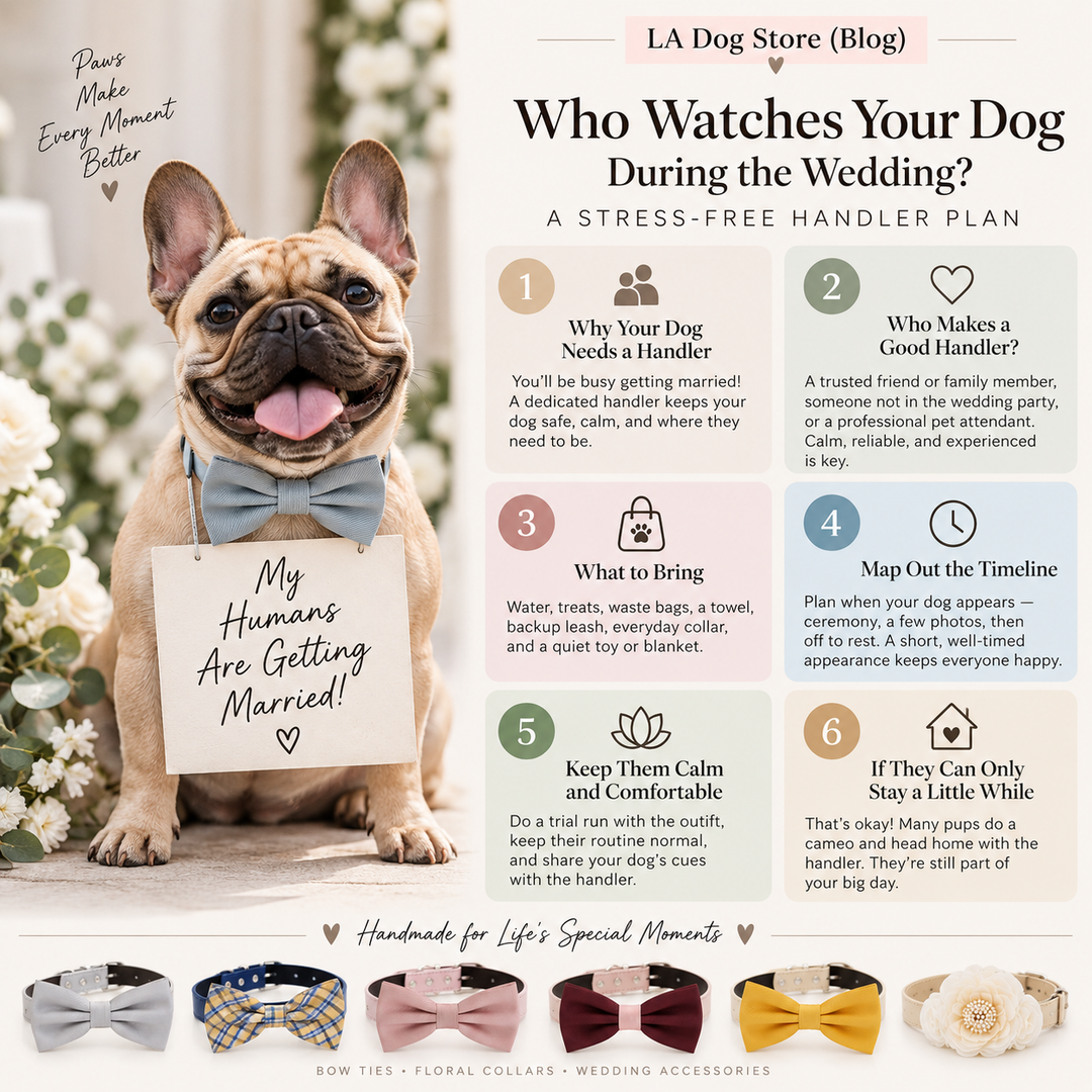 Who Watches the Dog During the Wedding? A Dog-Handler Game Plan