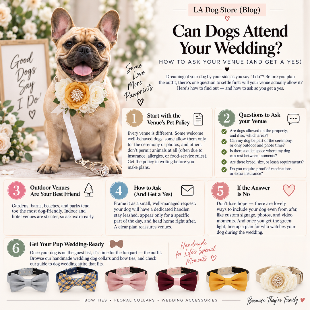 Can Dogs Attend Weddings? Venue Rules & How to Ask