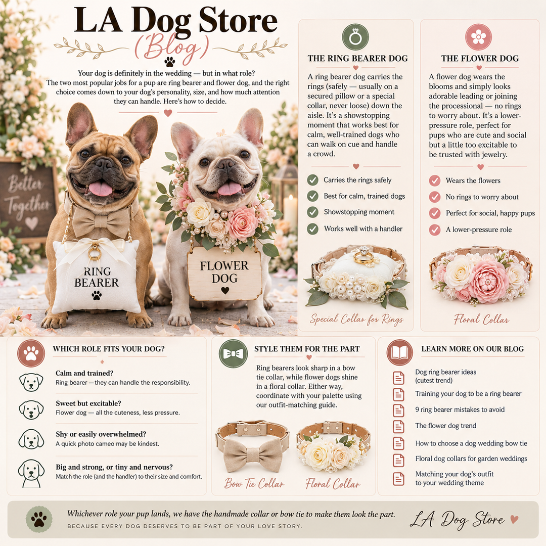 Ring Bearer or Flower Dog? Pick the Perfect Role for Your Pup