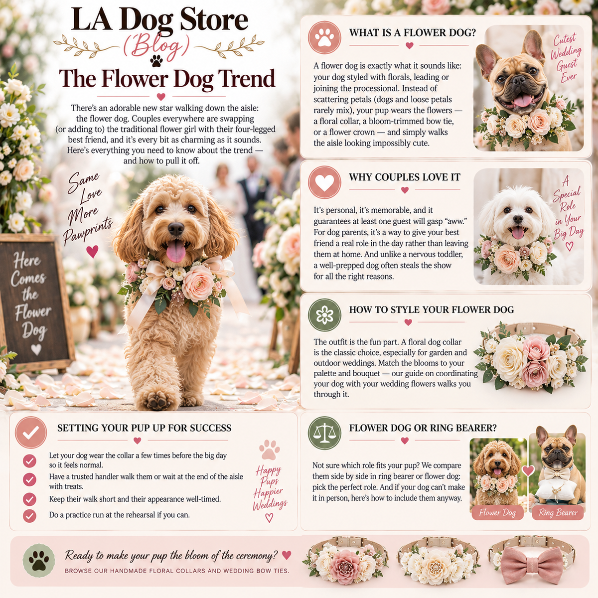 Flower Dog: The Trend That's Replacing Flower Girls