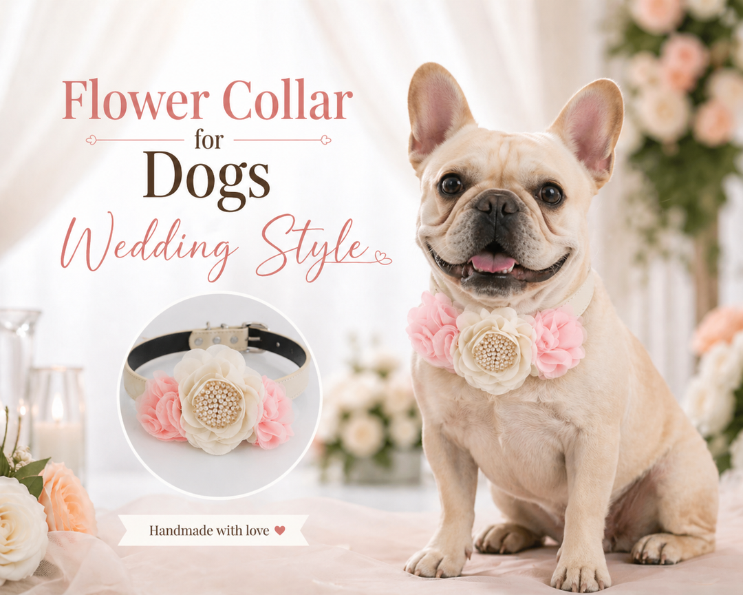 Flower Collar for Dogs Wedding Style