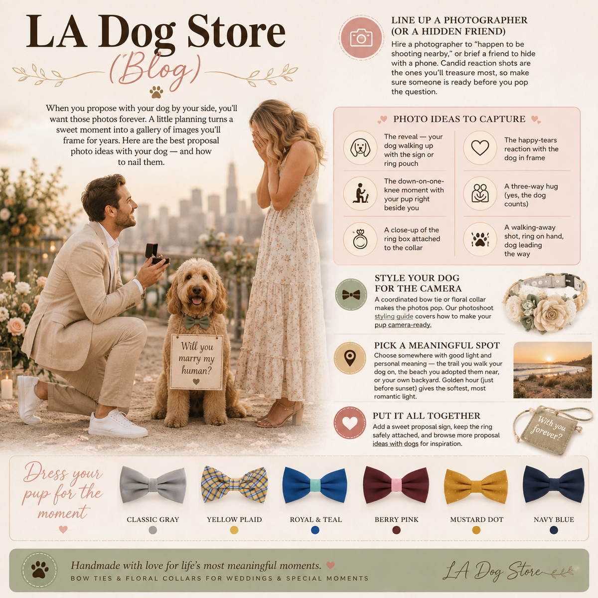 Proposal Photo Ideas With Your Dog