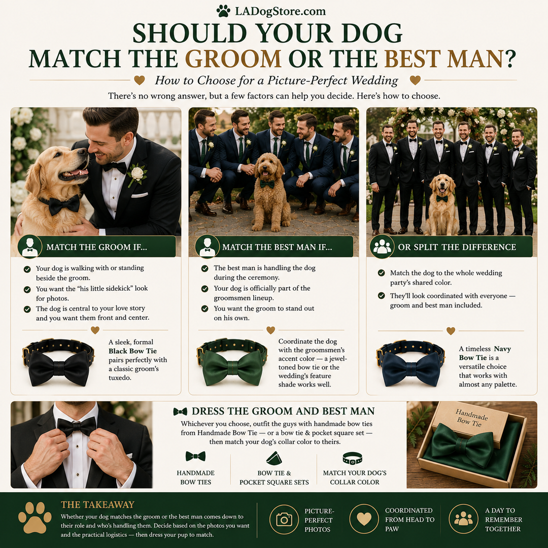 Should Your Dog Match the Groom or the Best Man?