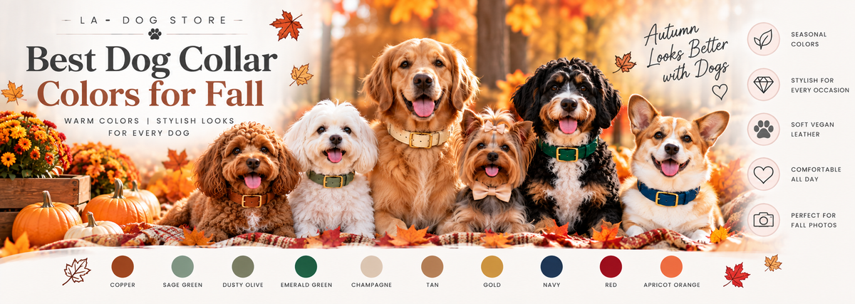Dogs wearing Copper, Sage Green, Emerald Green, Champagne, Navy, and other fall-colored collars surrounded by warm autumn leaves.