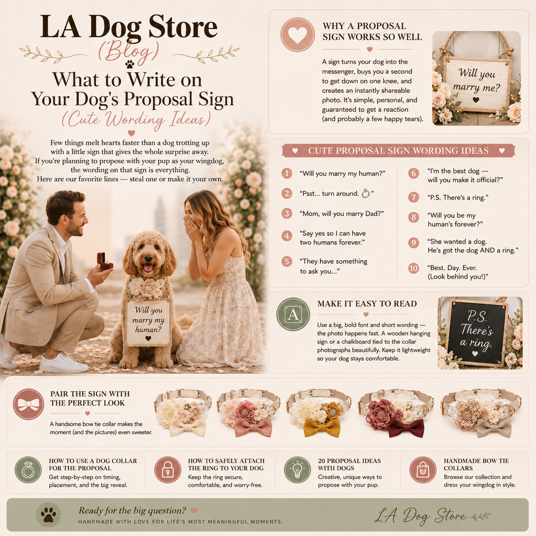 What to Write on Your Dog's Proposal Sign (Cute Wording Ideas)