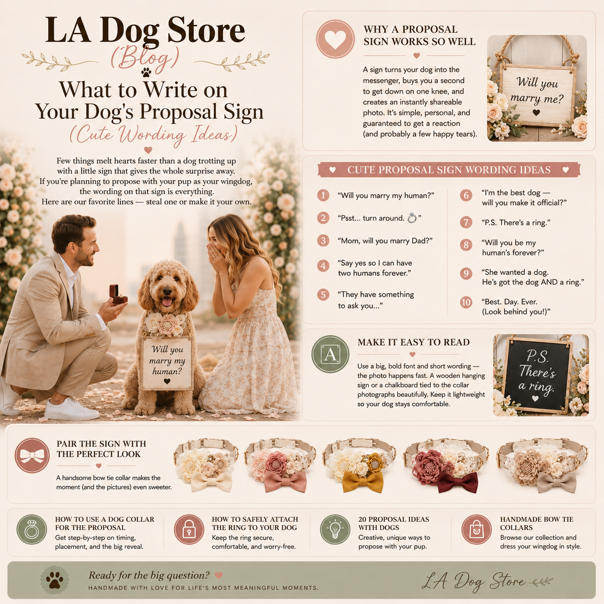 What to Write on Your Dog's Proposal Sign (Cute Wording Ideas)