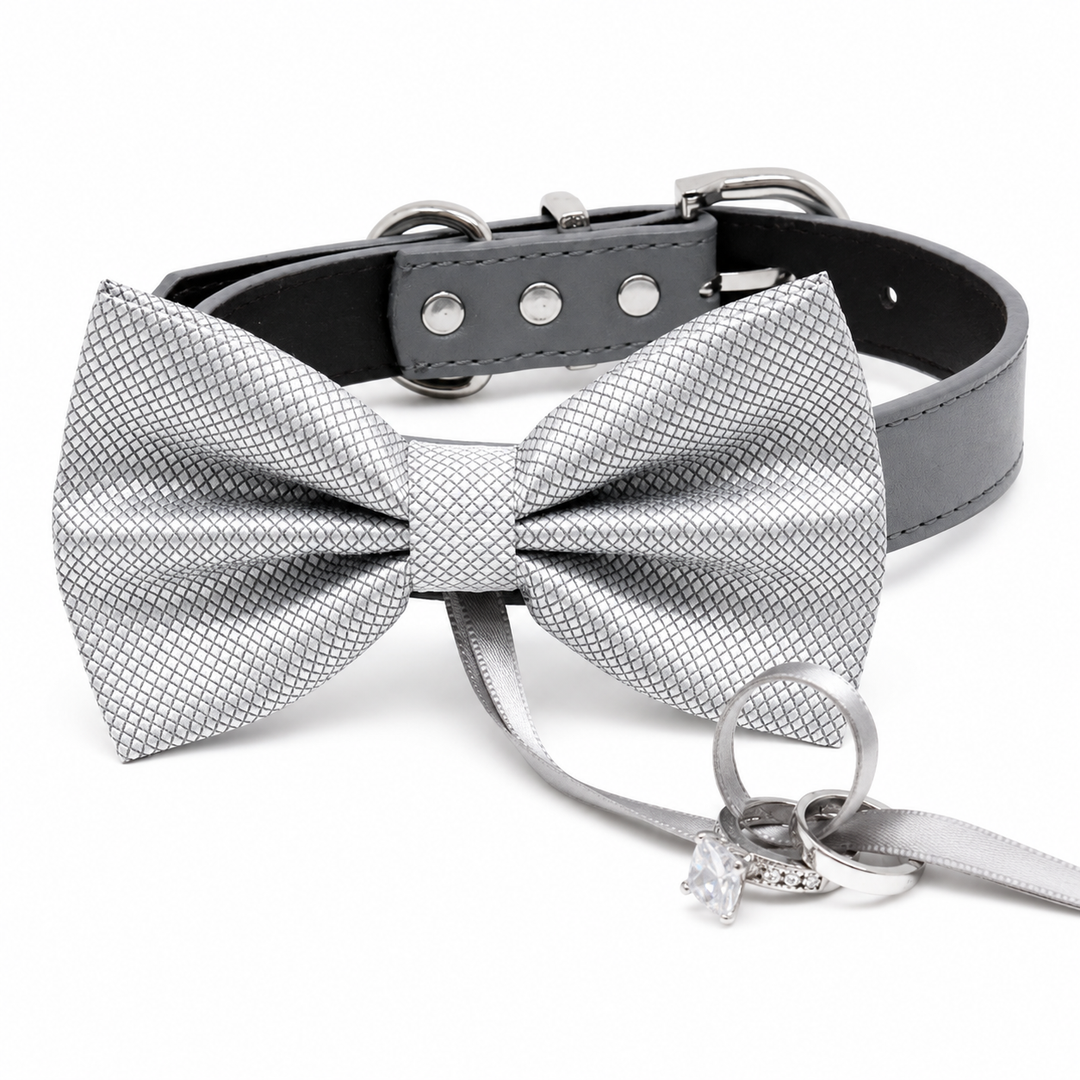 Silver & Gray Dog Wedding Accessories