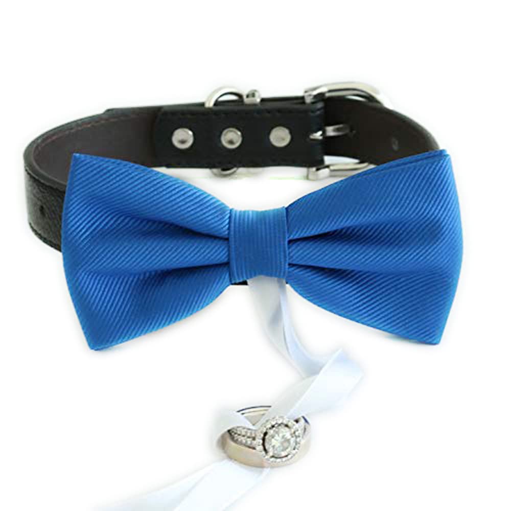 Navy & Royal Blue Dog Wedding Accessories