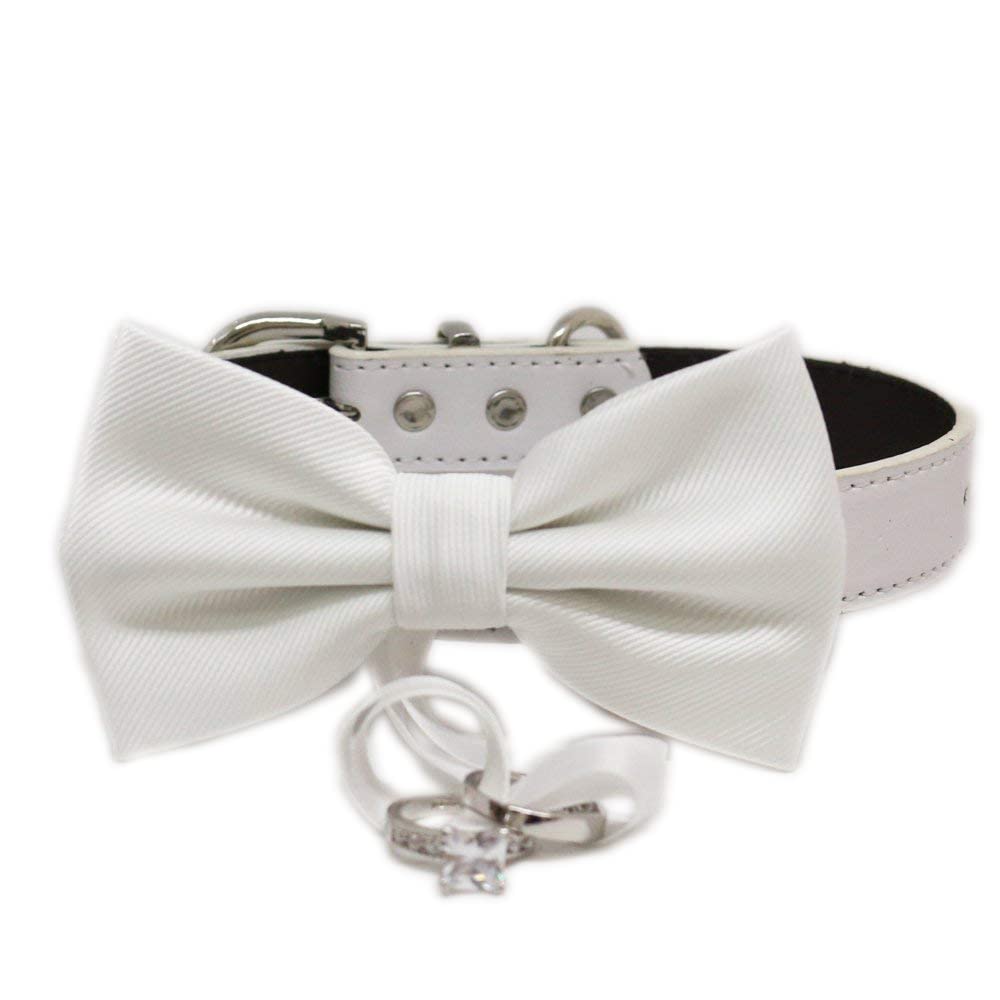 White & Ivory Dog Wedding Accessories
