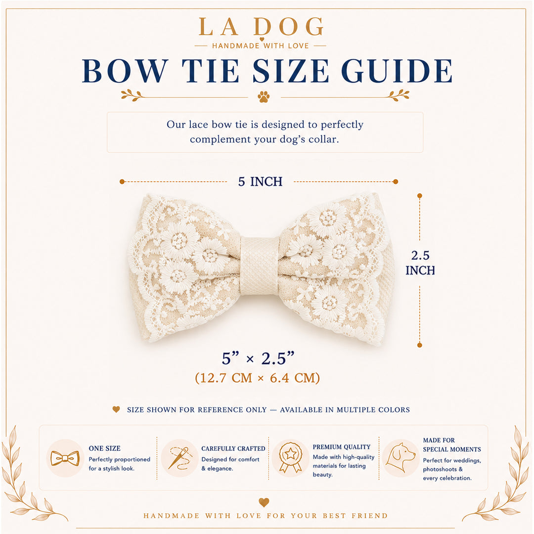 The image is a guide for a lace bow tie, providing information about the size and details of the bow tie.