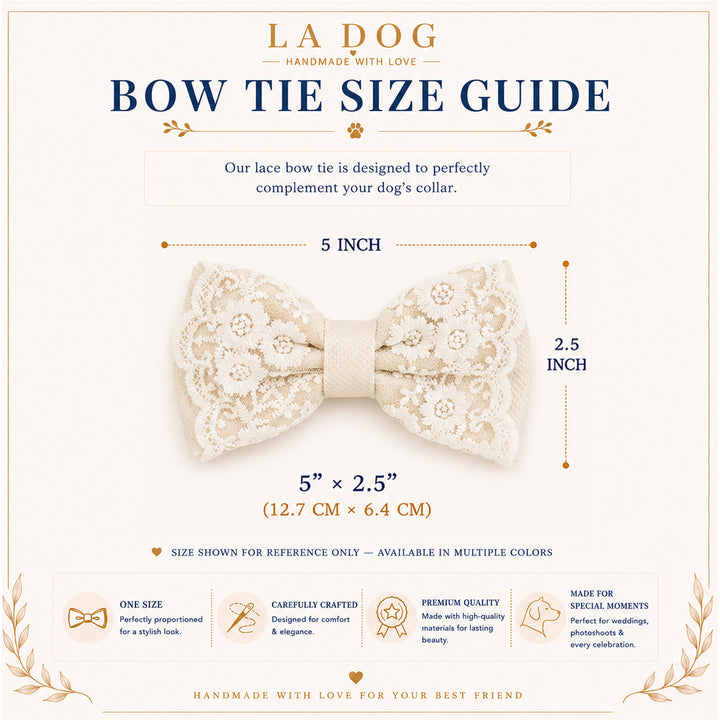 The image is a guide for a lace bow tie, providing information about the size and details of the bow tie.