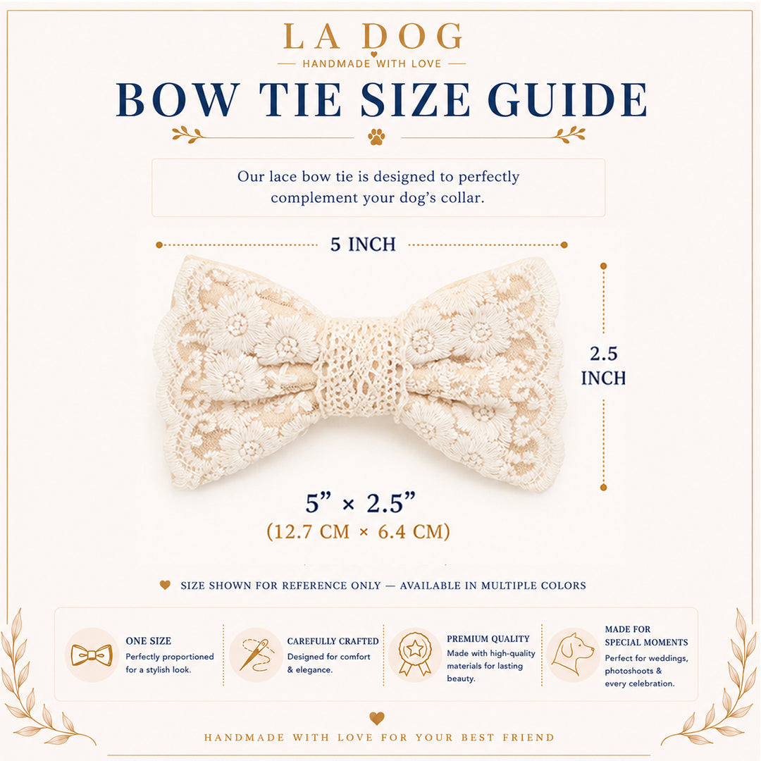 The image is a guide for a lace bow tie, providing information about the bow tie's size, materials, and features.