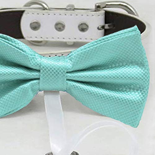 Aqua bow tie collar Leather collar dog ring bearer adjustable handmade XS to XXL collar bow Puppy bow Proposal Aqua Splash blue