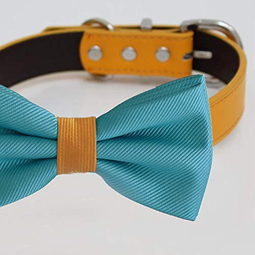 Teal Blue Orange bow tie collar, handmade Puppy bow tie, XS to XXL collar and bow adjustable wedding dog collar ring bearer, Blue bow tie