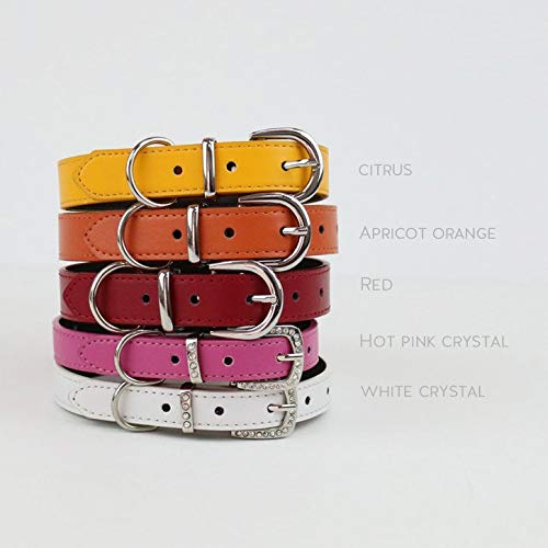 Custom order- Dog collar