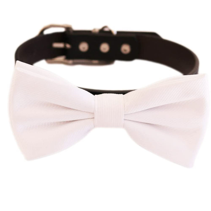 White bow tie collar wedding dog collar dog ring bearer XS to XXL collar and bow tie adjustable Puppy bow tie handmade, boy dog collar