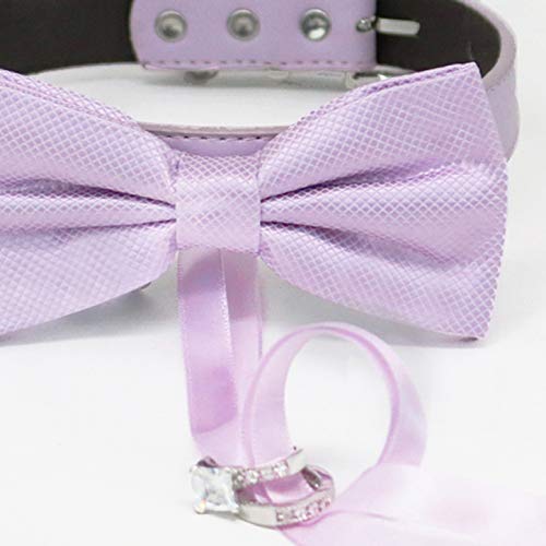 Lilac Ring Bearer Dog Bow Tie Collar with Ring Holder and Vegan Leather Collar