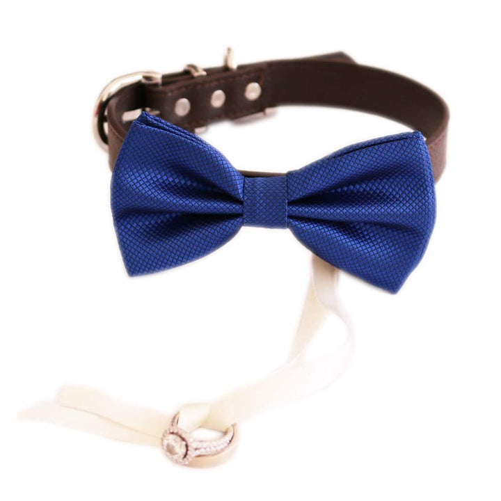 Royal Blue dog bow tie collar, dog collar, dog ring bearer, some thing blue, proposal, Cat bow tie collar, XS to XXL collar and bow