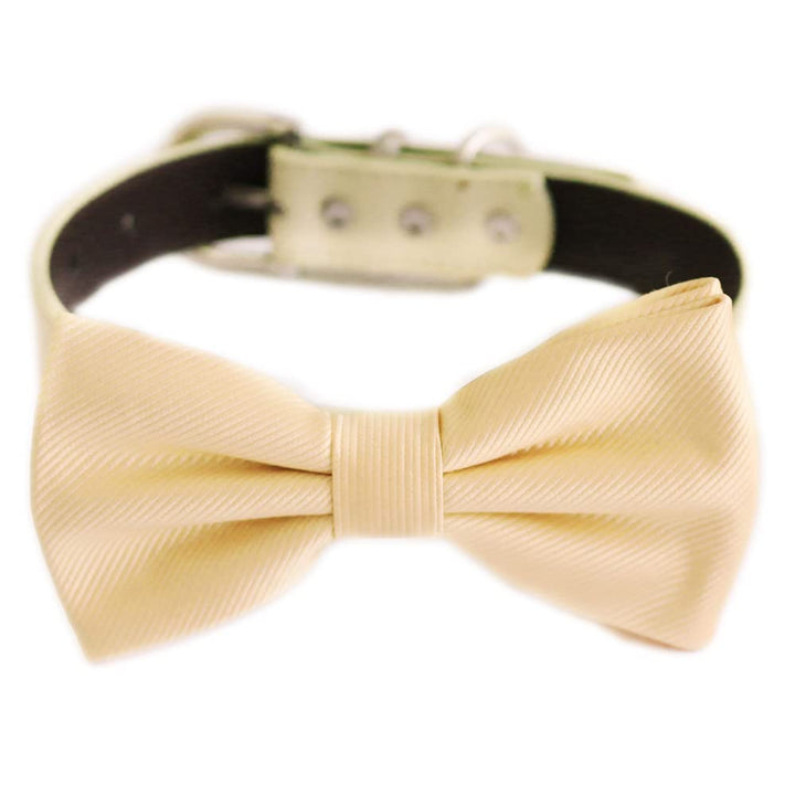Ivory Ring Bearer Dog Bow Tie Collar – Handmade Classic Wedding Bow Tie, Adjustable Vegan Leather, M–XXL, Choose Your Collar Color