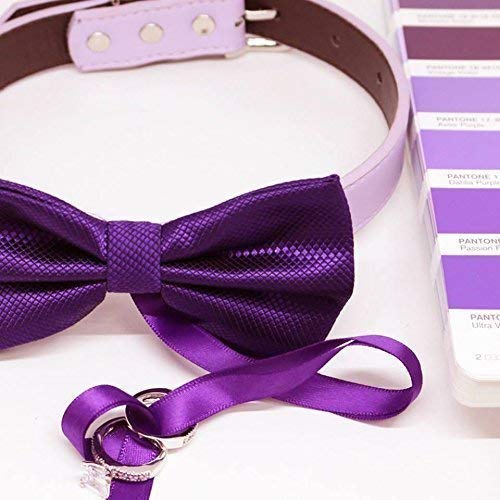 Dog Ring Bearer Bow Tie Collar, bow attached to leather collar, Dog ring bearer, XS to XXL adjustable collar