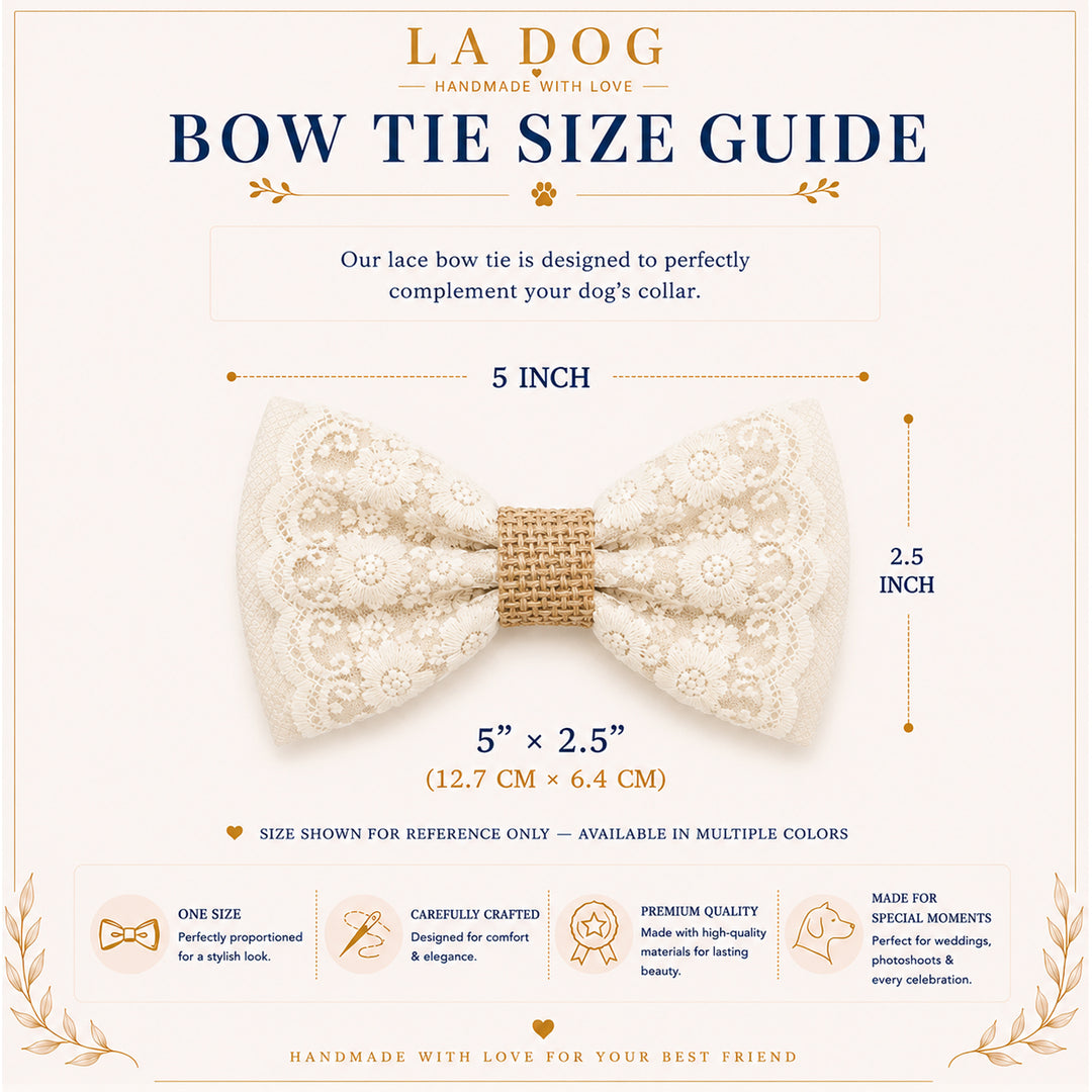 The image is a guide for a 5-inch bow tie in the size of 2.5 inches, featuring a detailed description of the bow tie's features and dimensions.