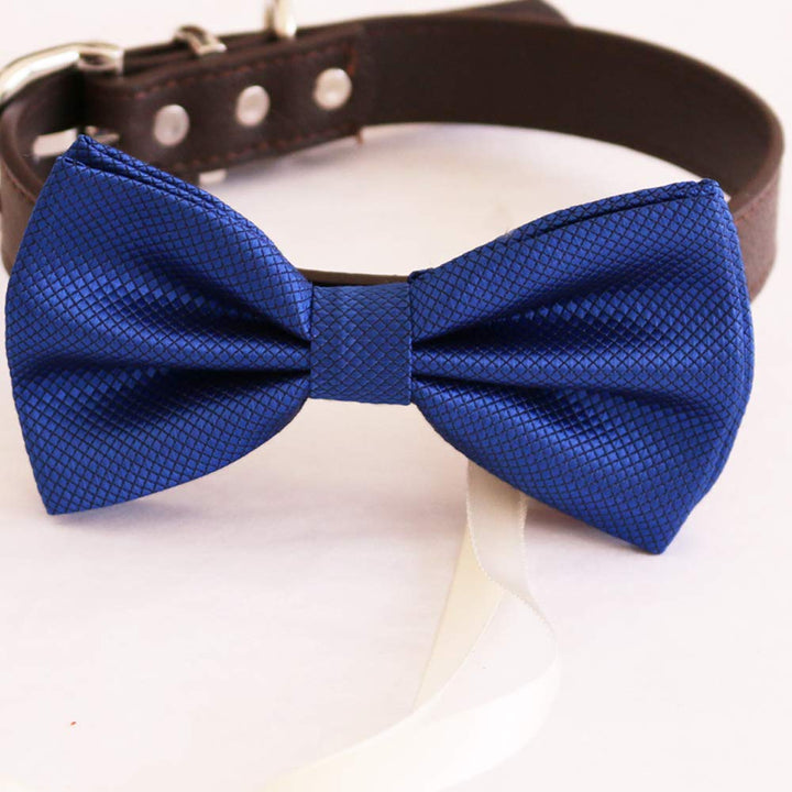 Royal Blue dog bow tie collar, dog collar, dog ring bearer, some thing blue, proposal, Cat bow tie collar, XS to XXL collar and bow