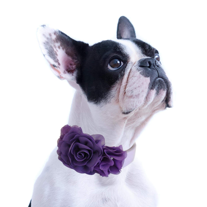 Handmade Purple Flower dog collar, flower leather collar, Dog ring bearer proposal XS to XXL collar, Puppy Girl flower collar