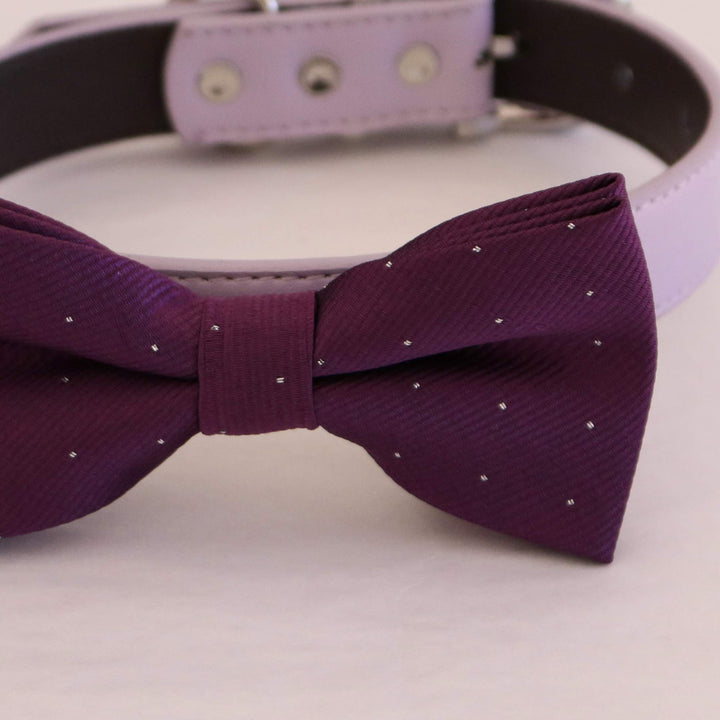 Purple bow tie collar wedding dog collar, dog ring bearer S to XXL collar and bow tie adjustable Puppy bow tie boy dog collar