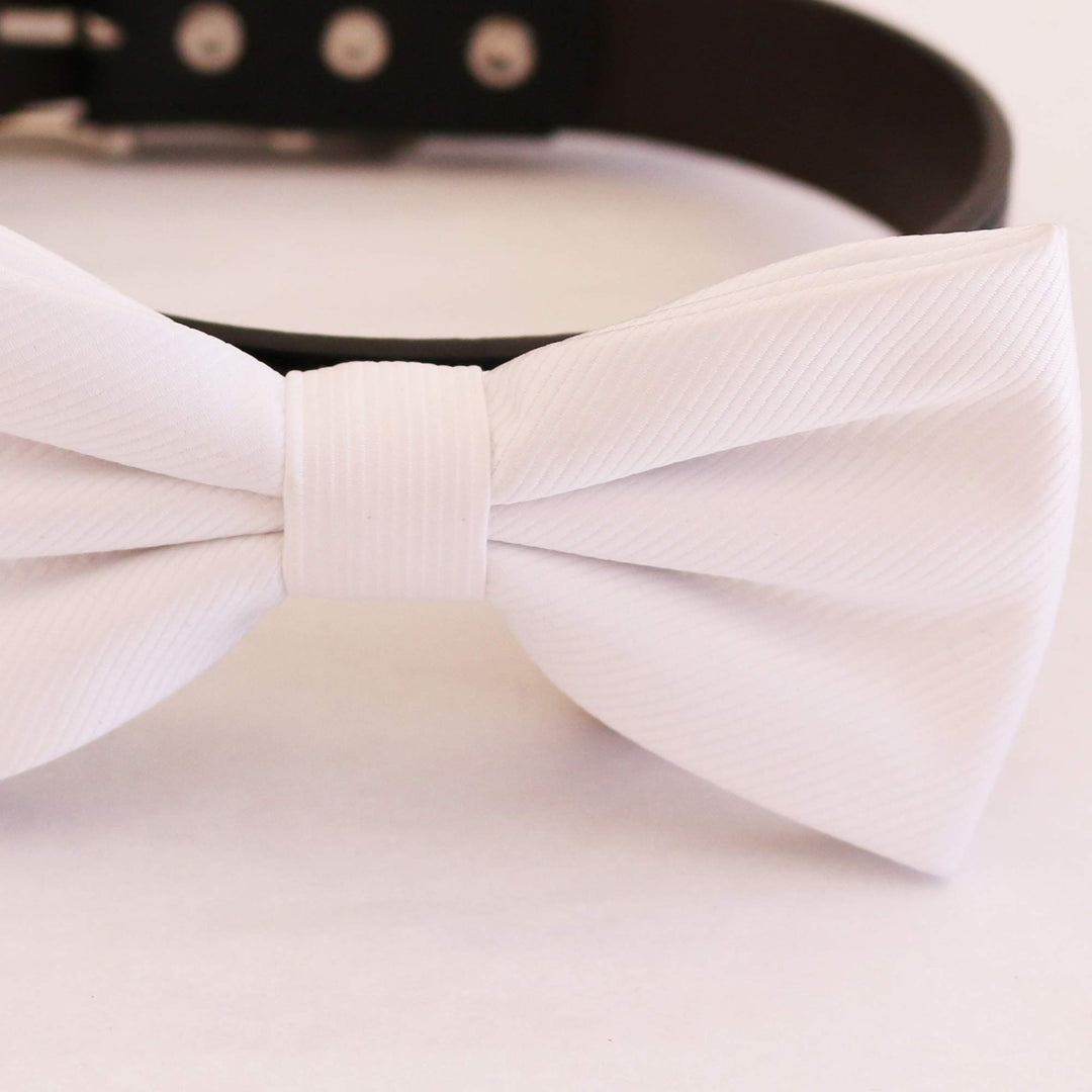 White bow tie collar wedding dog collar dog ring bearer XS to XXL collar and bow tie adjustable Puppy bow tie handmade, boy dog collar