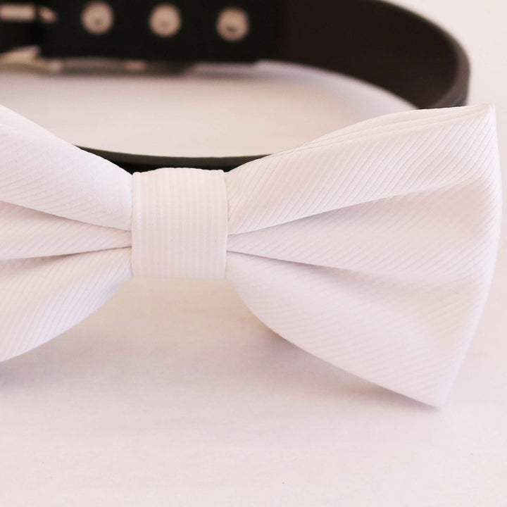 White bow tie collar wedding dog collar dog ring bearer XS to XXL collar and bow tie adjustable Puppy bow tie handmade, boy dog collar