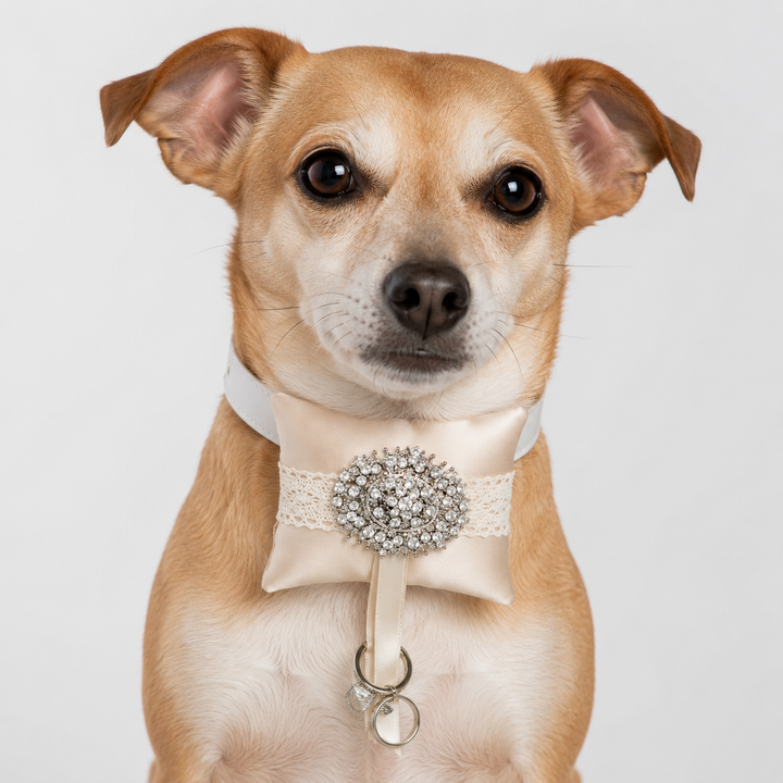 Champagne Lace Crystal Ring Bearer Dog Pillow