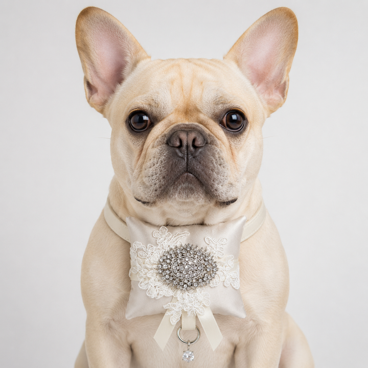 Ivory Lace Crystal Brooch Ring Bearer Dog Pillow