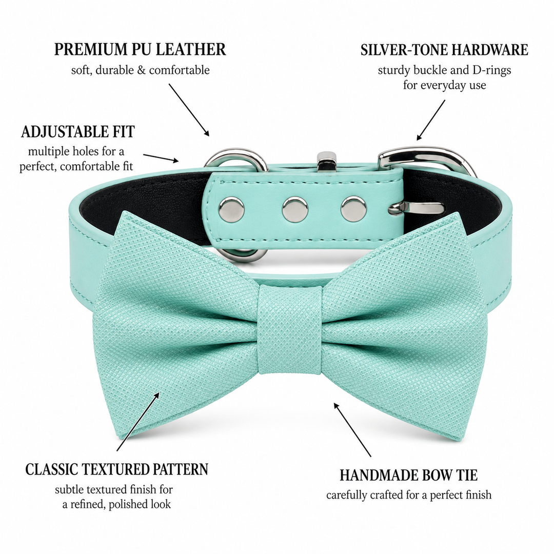 Mint Green Ring Bearer Wedding Dog Bow Tie Collar with Adjustable Matching Vegan Leather Collar