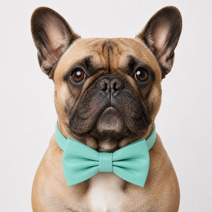 Mint Green Ring Bearer Wedding Dog Bow Tie Collar with Adjustable Matching Vegan Leather Collar
