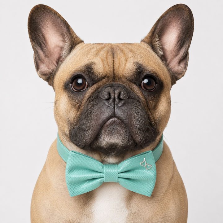 Mint Green Ring Bearer Wedding Dog Bow Tie Collar with Decorative Heart-Shaped Metal Clip and Adjustable Matching Vegan Leather Collar