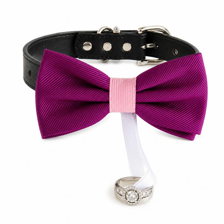 Purple Ring Bearer Wedding Dog Bow Tie Collar with Wedding Ring Holder Ribbon and Adjustable Black Vegan Leather Collar