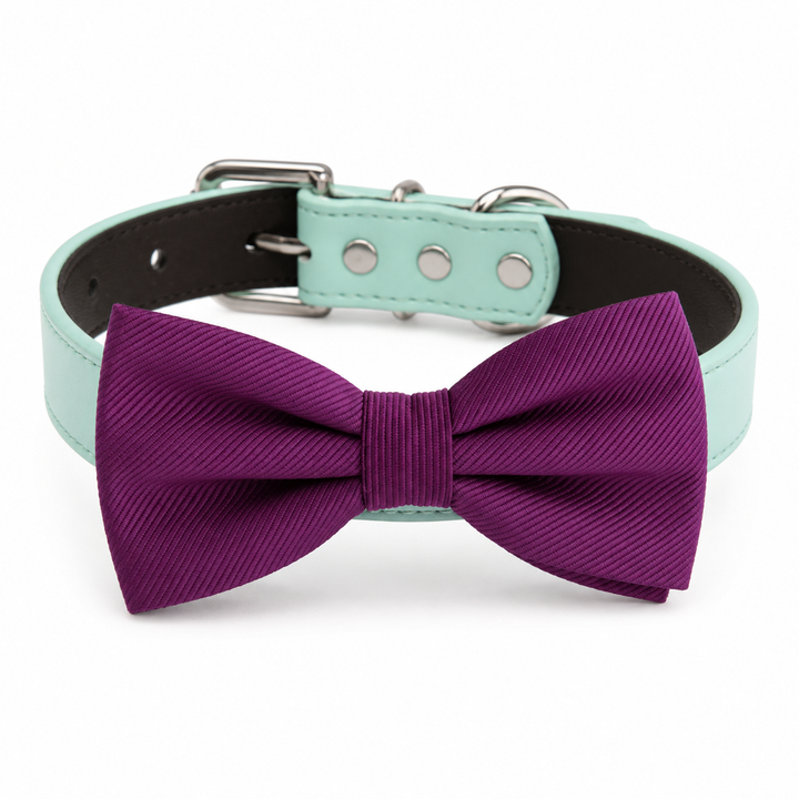 Purple Ring Bearer Wedding Dog Bow Tie Collar with Adjustable Mint Green Vegan Leather Collar